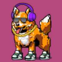 DogePunks #4969