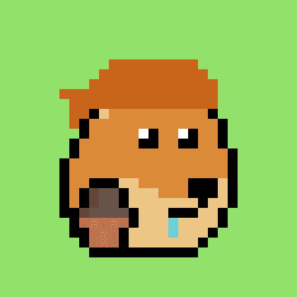 Dogepunk #1224