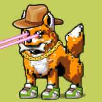 DogePunks #2506
