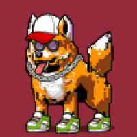 DogePunks #4547