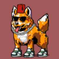 DogePunks #1879