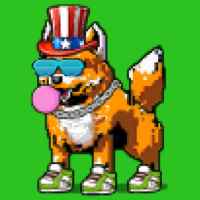 DogePunks #603