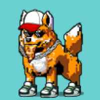 DogePunks #3196