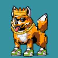 DogePunks #1417