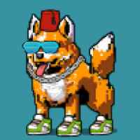DogePunks #1433