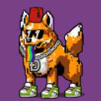 DogePunks #679