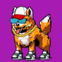 DogePunks #4893