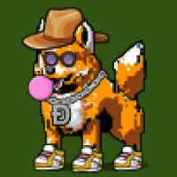 DogePunks #2566