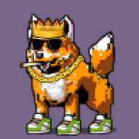 DogePunks #2765