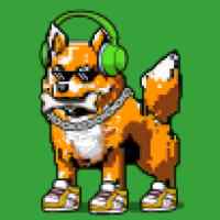 DogePunks #2272