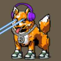 DogePunks #803