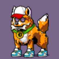 DogePunks #624
