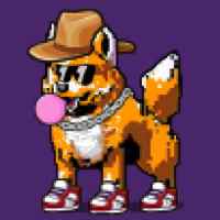 DogePunks #2358