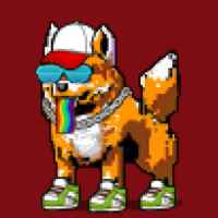 DogePunks #2852