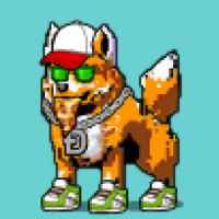 DogePunks #1990