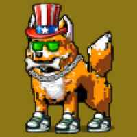 DogePunks #2806