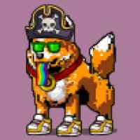 DogePunks #2051
