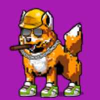 DogePunks #787