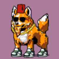 DogePunks #348