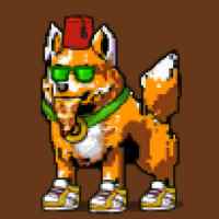 DogePunks #3779