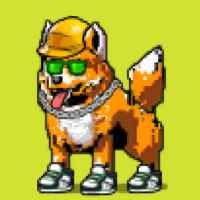 DogePunks #955