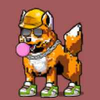 DogePunks #285