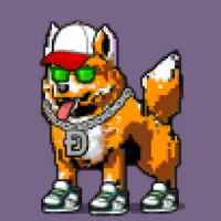 DogePunks #3491
