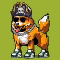 DogePunks #4333