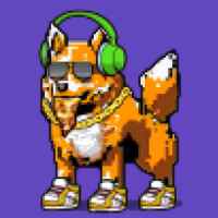 DogePunks #763