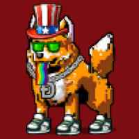 DogePunks #1209