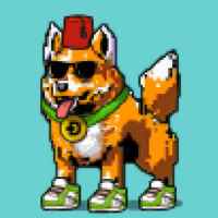 DogePunks #4847