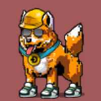 DogePunks #4553