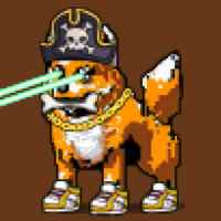 DogePunks #778