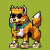 DogePunks #171