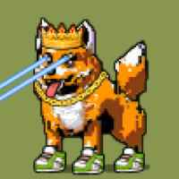 DogePunks #1003