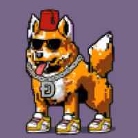 DogePunks #4571