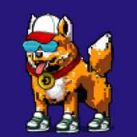 DogePunks #1174