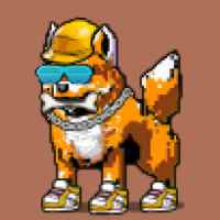 DogePunks #4849