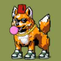DogePunks #2573