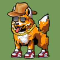 DogePunks #3993