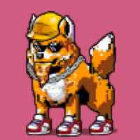 DogePunks #1296