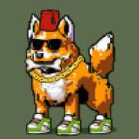 DogePunks #1870