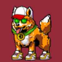 DogePunks #151