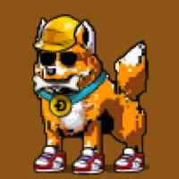 DogePunks #3841