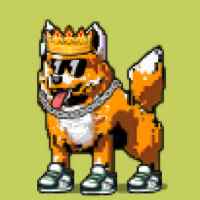 DogePunks #4669
