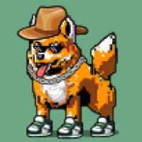 DogePunks #2569