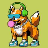 DogePunks #4527