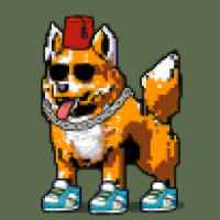 DogePunks #972