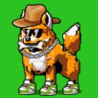 DogePunks #1175