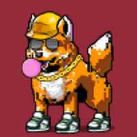 DogePunks #386